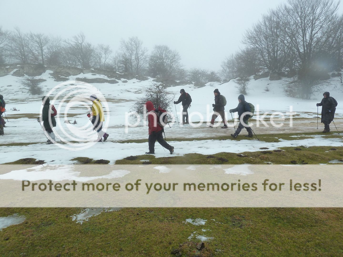 Photo Sharing and otobucVideo Hosting at Phket