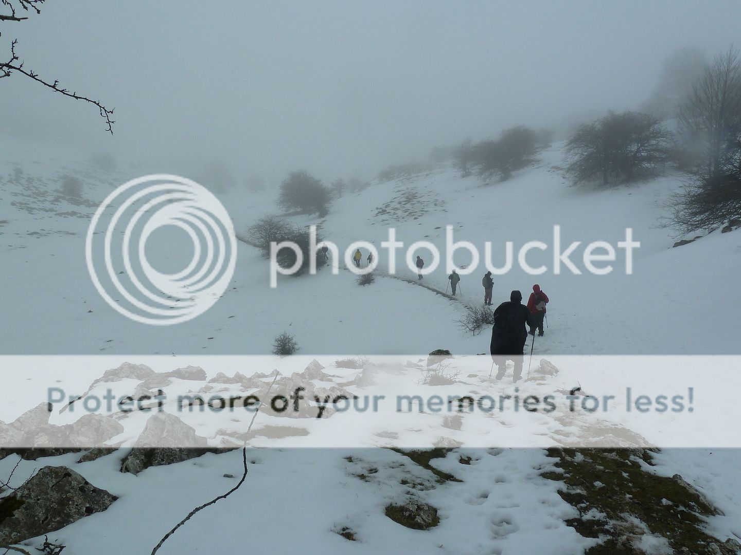 Photo Sharing and otobucVideo Hosting at Phket
