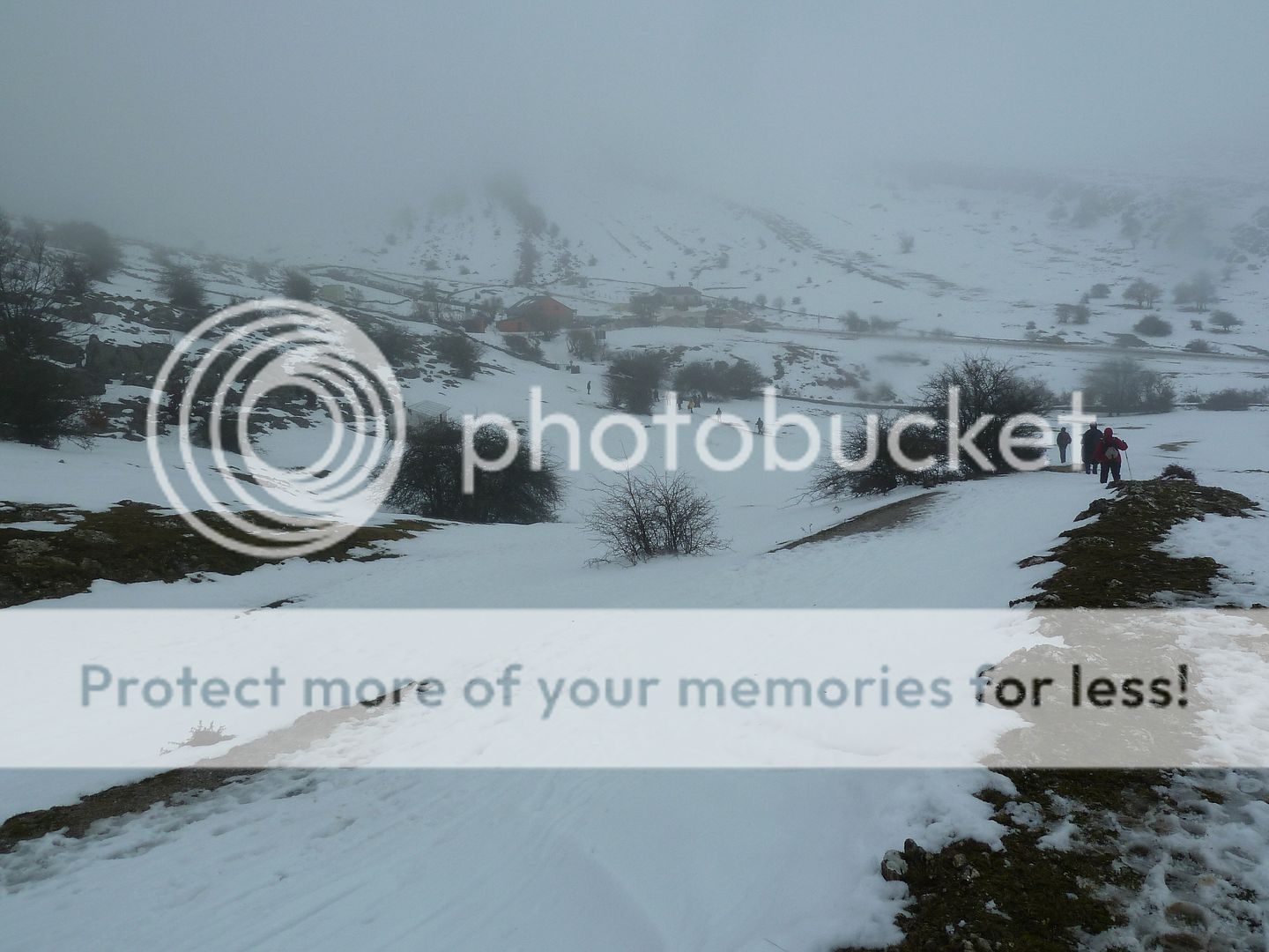 Photo Sharing and otobucVideo Hosting at Phket