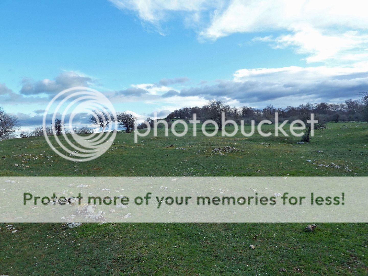 Photo Sharing and Video Hosting at Photobucket