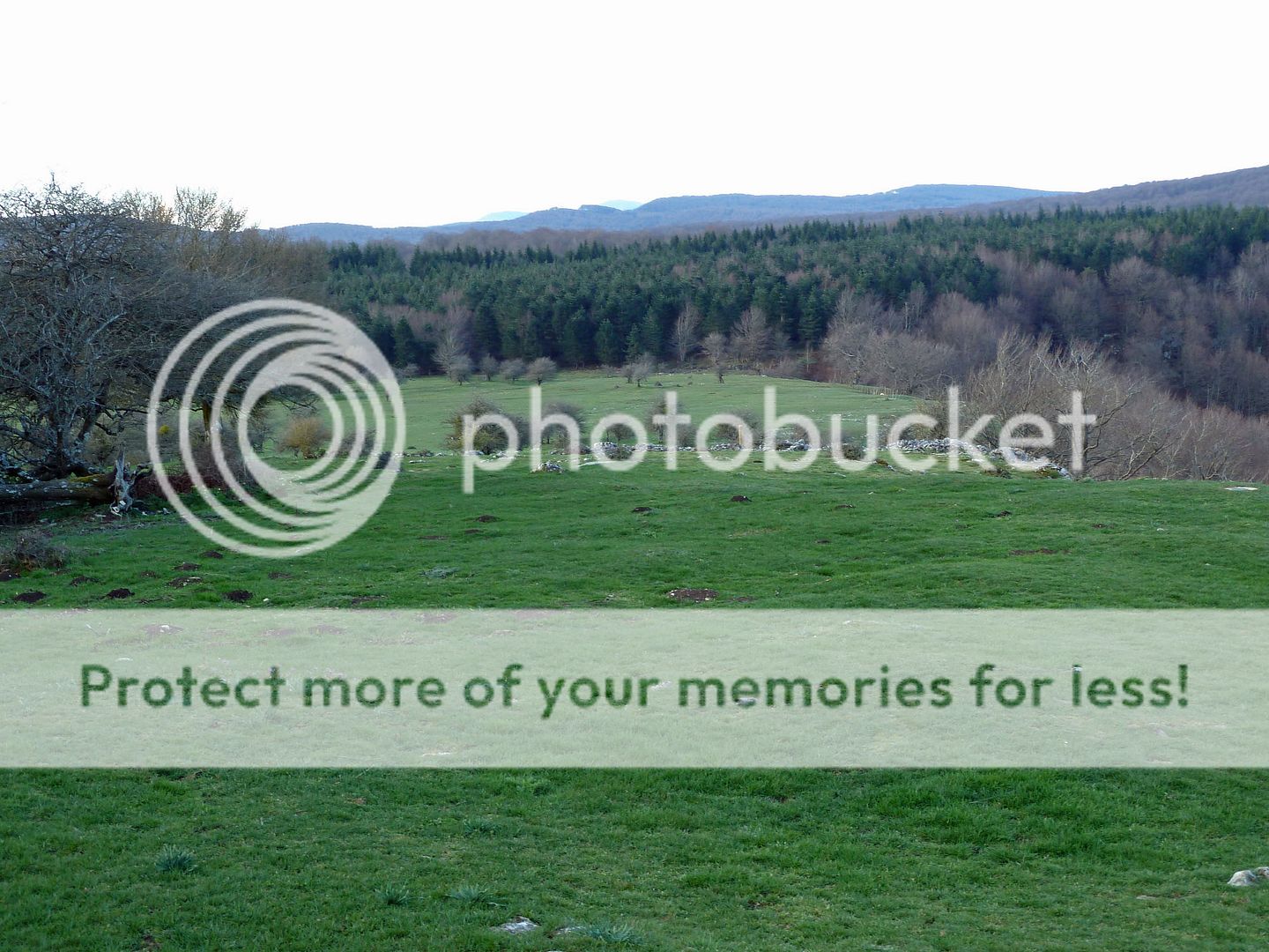 Photo Sharing and Video Hosting at Photobucket