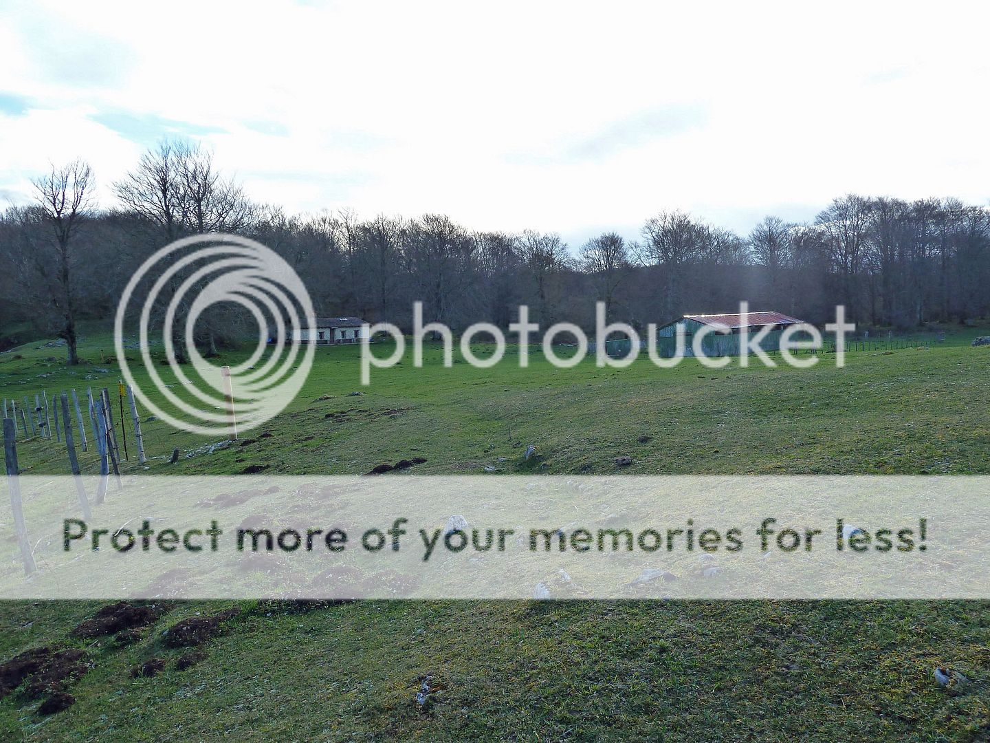 Photo Sharing and Video Hosting at Photobucket