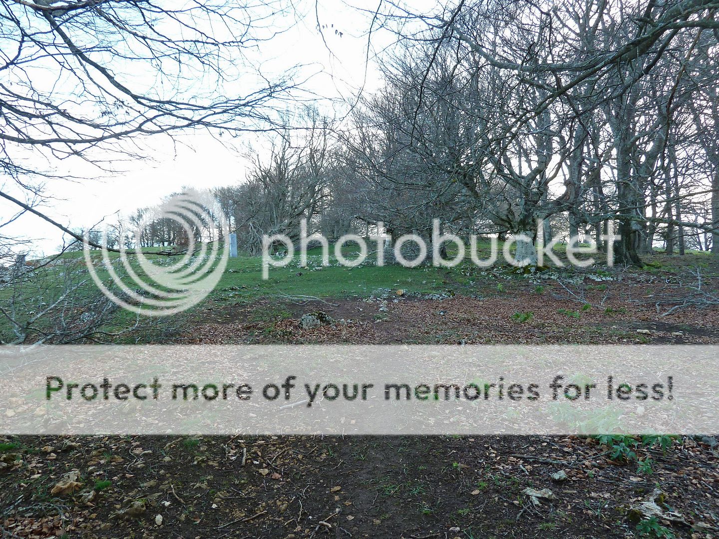 Photo Sharing and Video Hosting at Photobucket