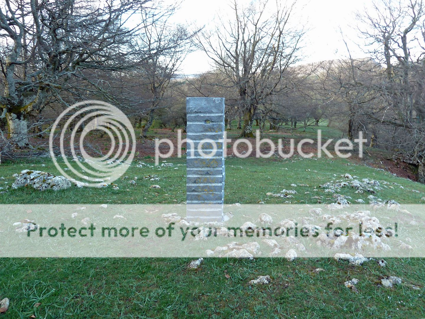 Photo Sharing and Video Hosting at Photobucket