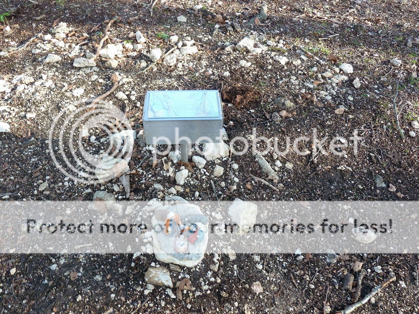 Photo Sharing and Video Hosting at Photobucket