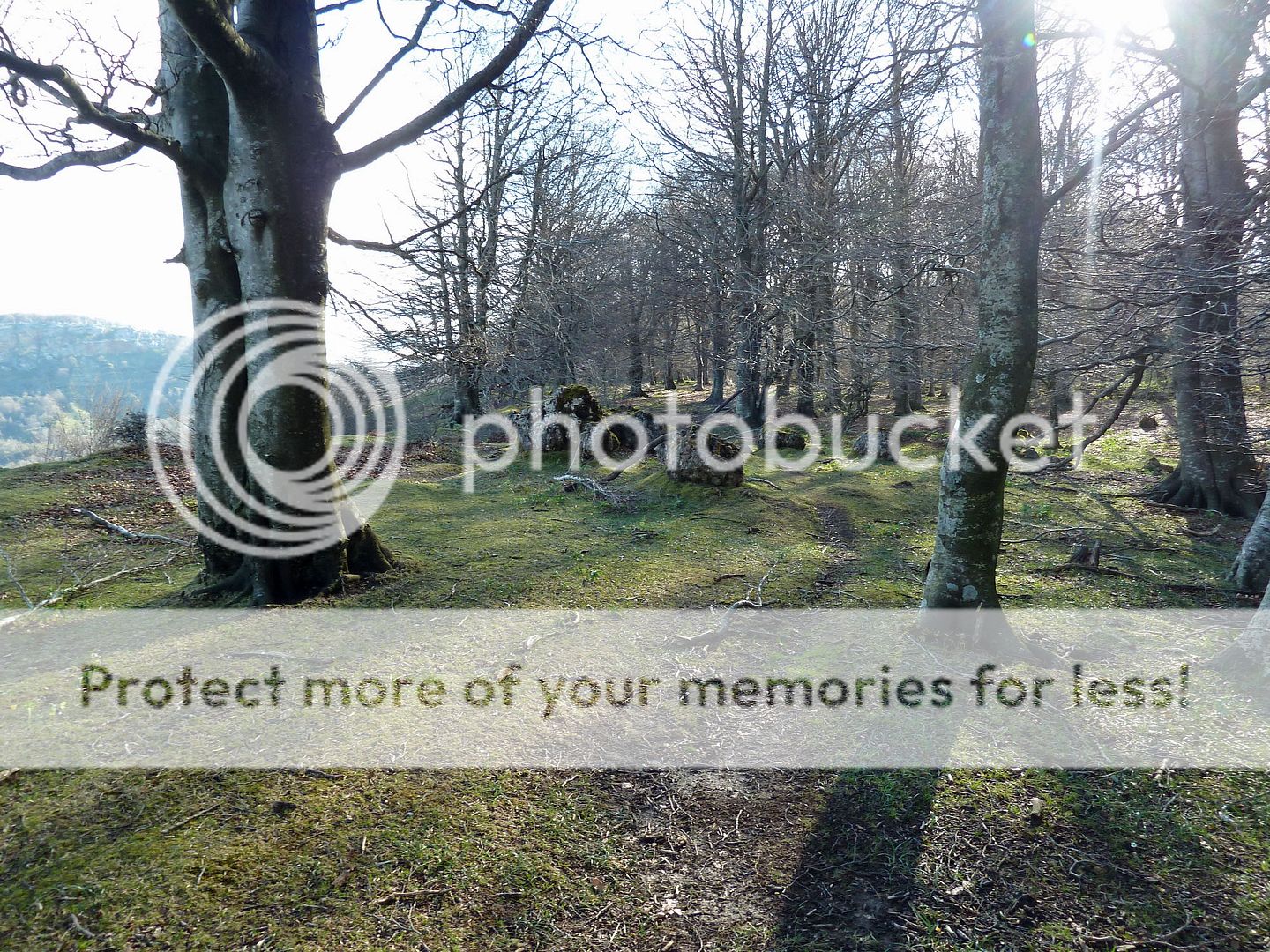 Photo Sharing and Video Hosting at Photobucket