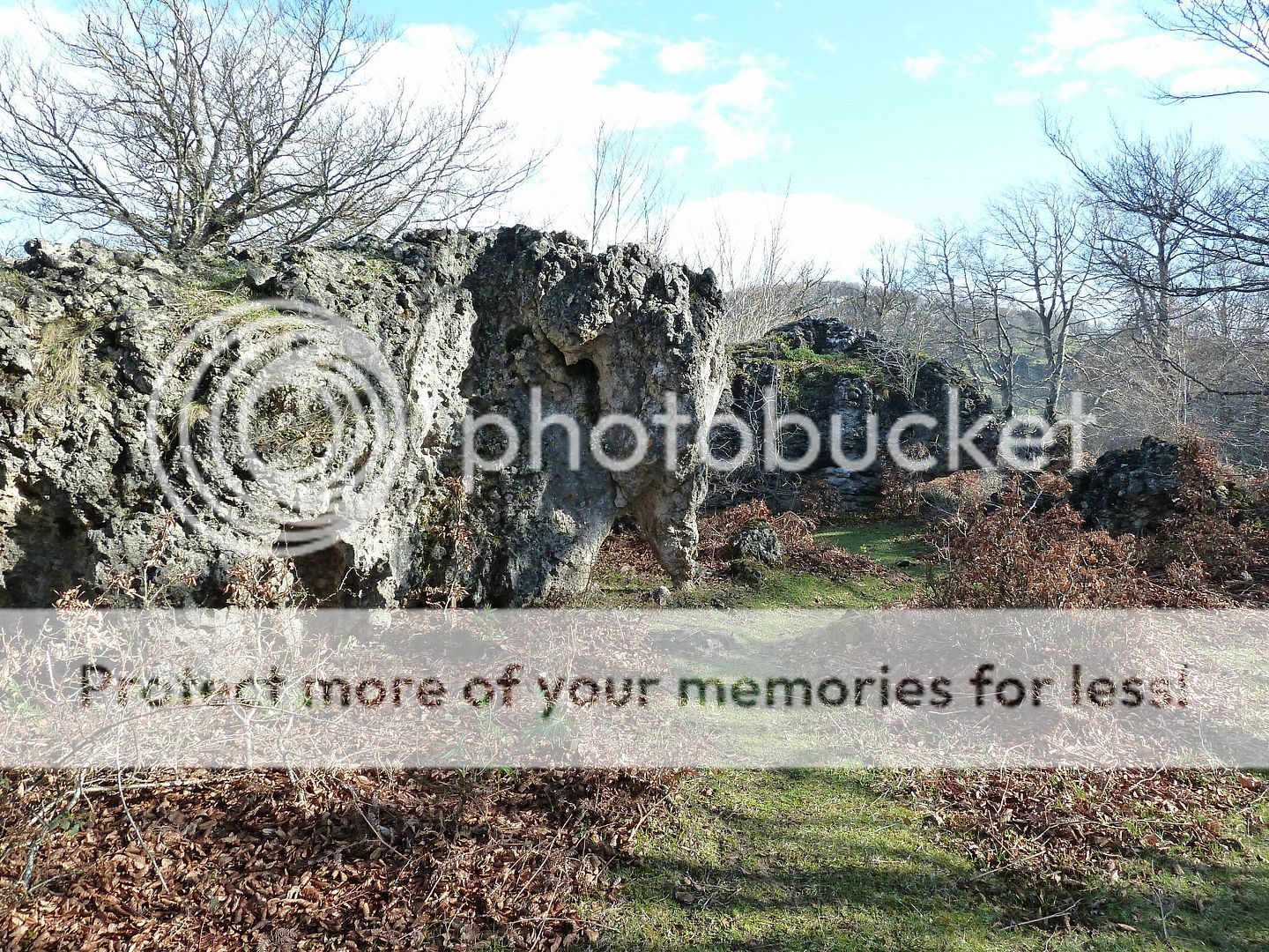 Photo Sharing and Video Hosting at Photobucket