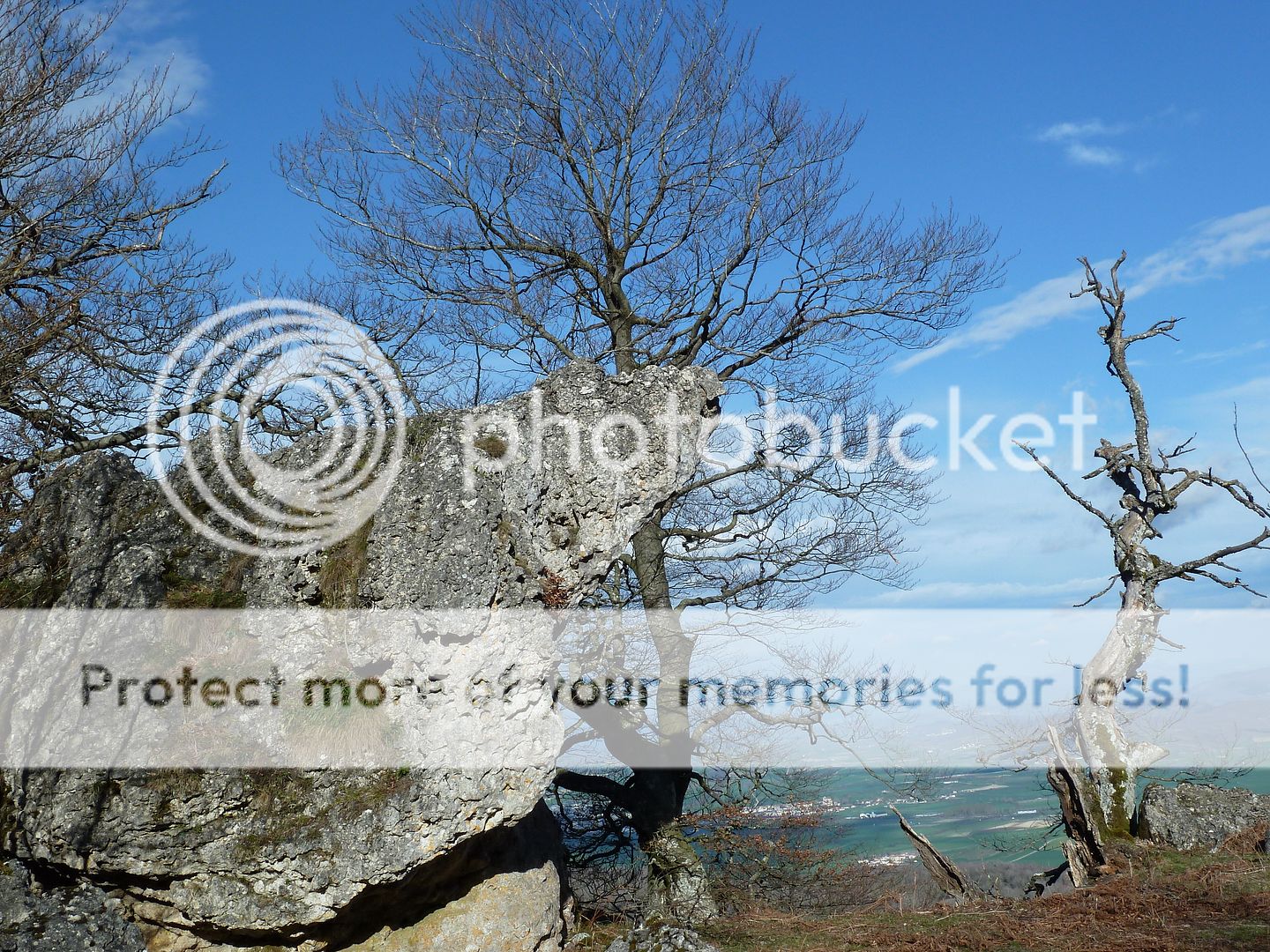 Photo Sharing and Video Hosting at Photobucket