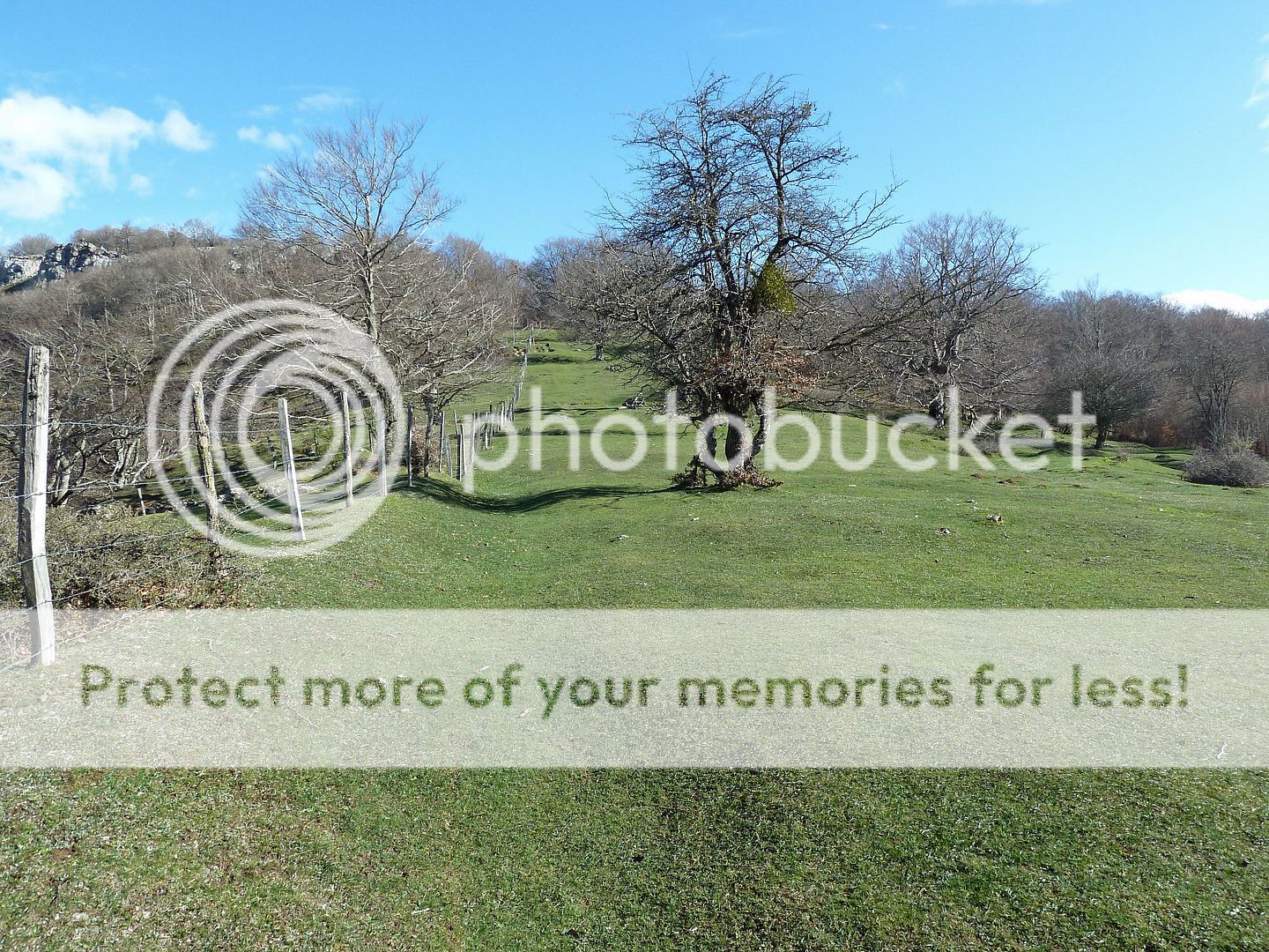 Photo Sharing and Video Hosting at Photobucket
