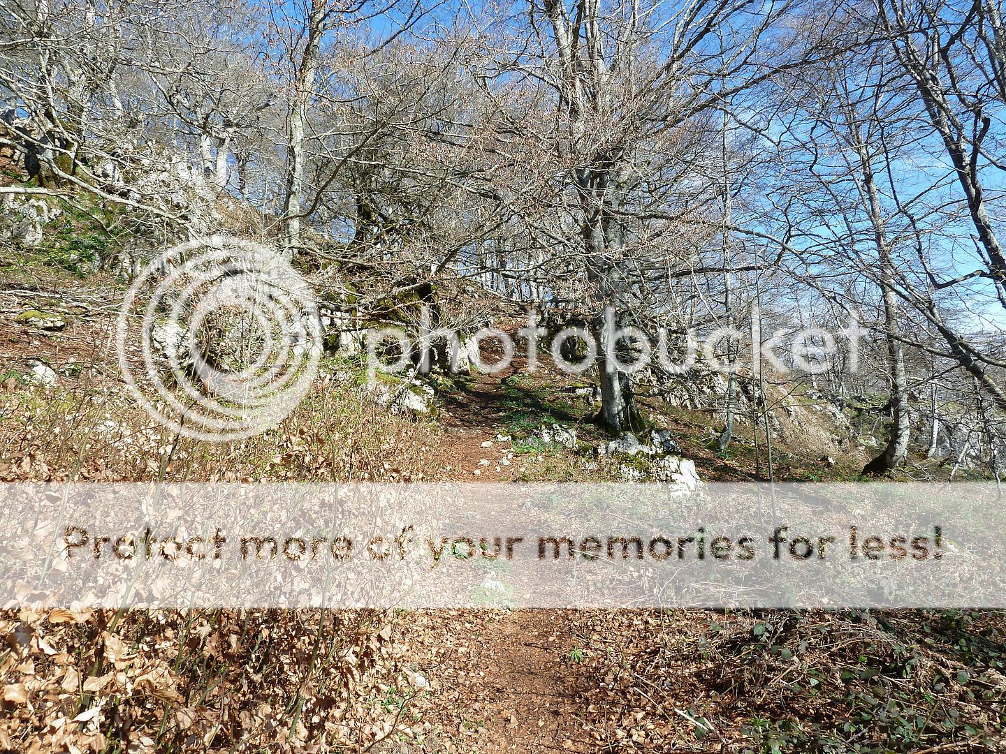 Photo Sharing and Video Hosting at Photobucket