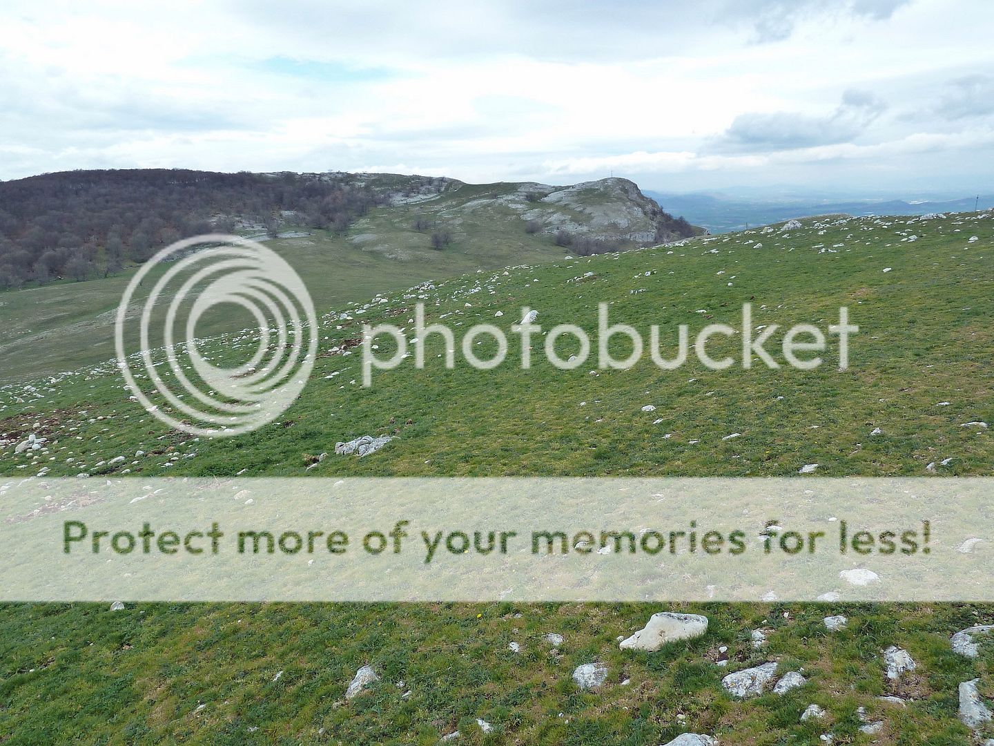 Photo Sharing and Video Hosting at Photobucket