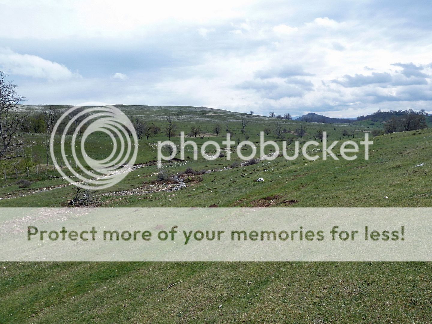Photo Sharing and Video Hosting at Photobucket