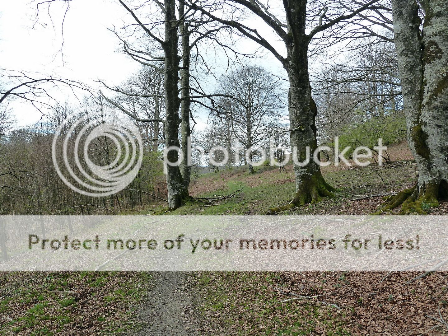 Photo Sharing and Video Hosting at Photobucket