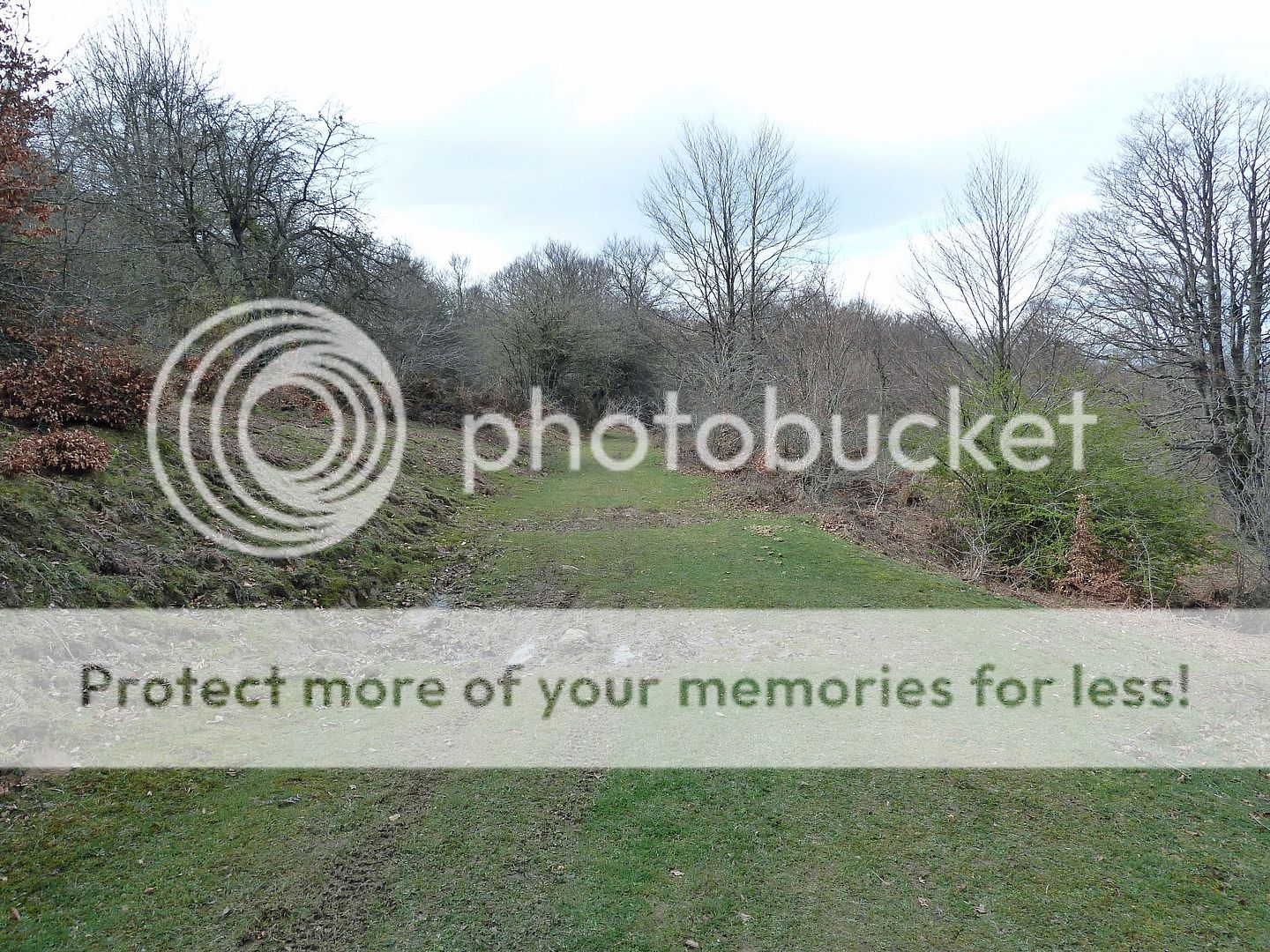 Photo Sharing and Video Hosting at Photobucket