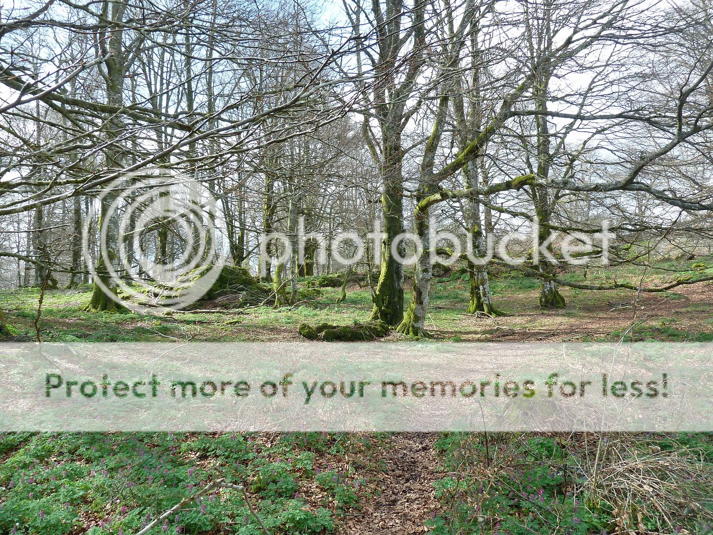 Photo Sharing and Video Hosting at Photobucket