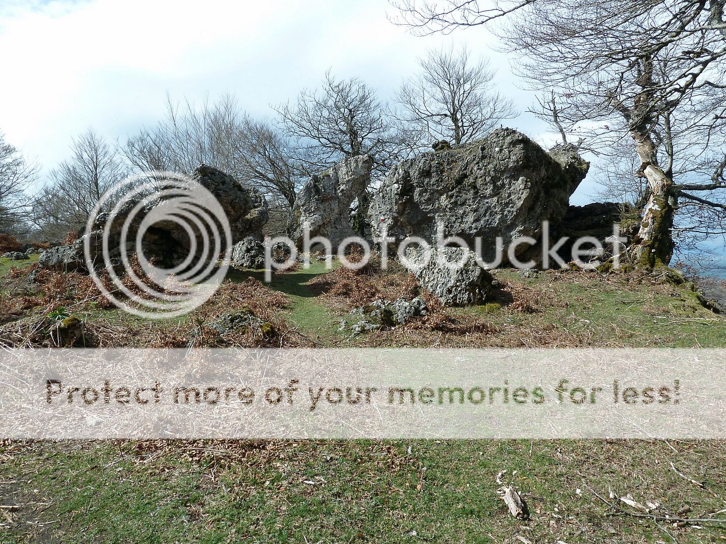 Photo Sharing and Video Hosting at Photobucket