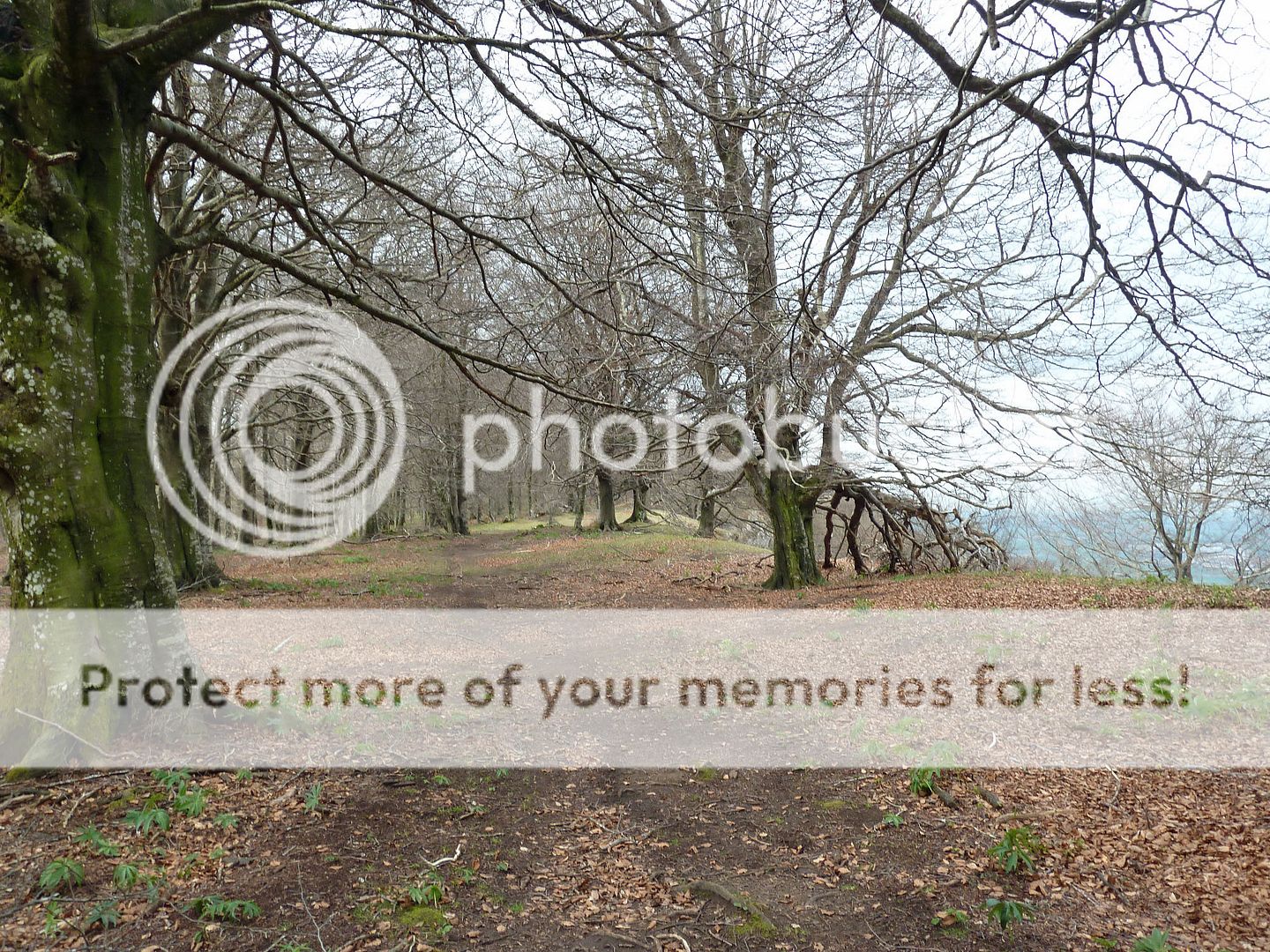 Photo Sharing and Video Hosting at Photobucket