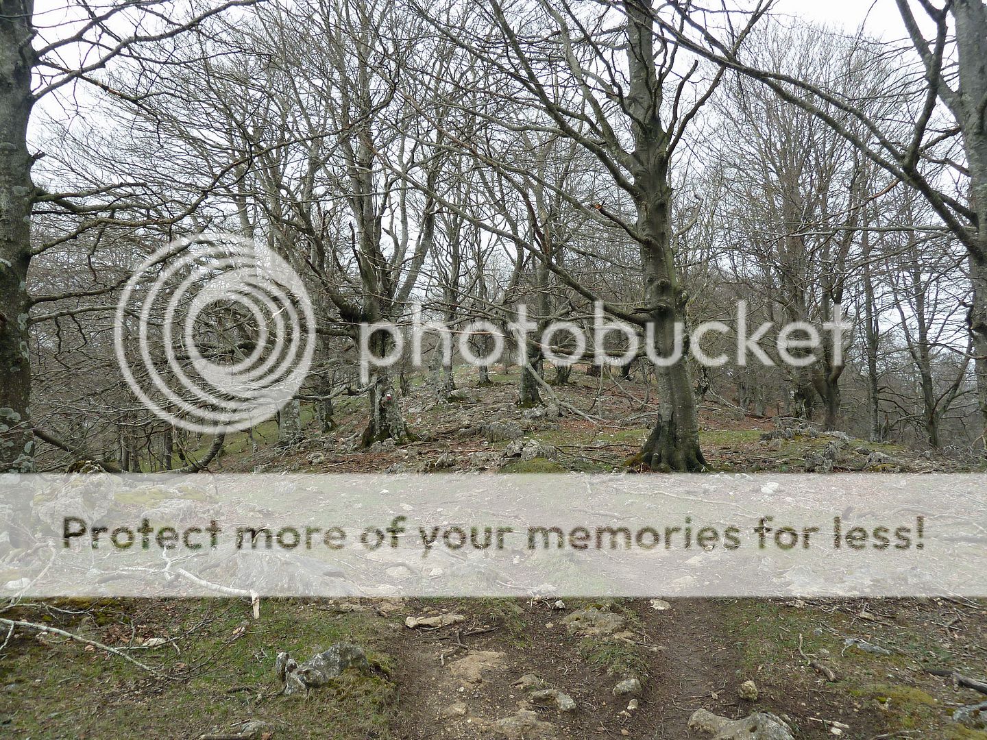 Photo Sharing and Video Hosting at Photobucket