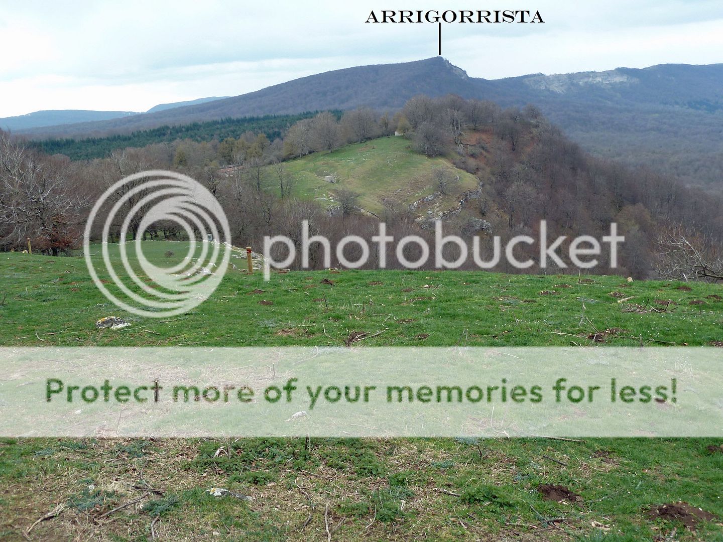Photo Sharing and Video Hosting at Photobucket