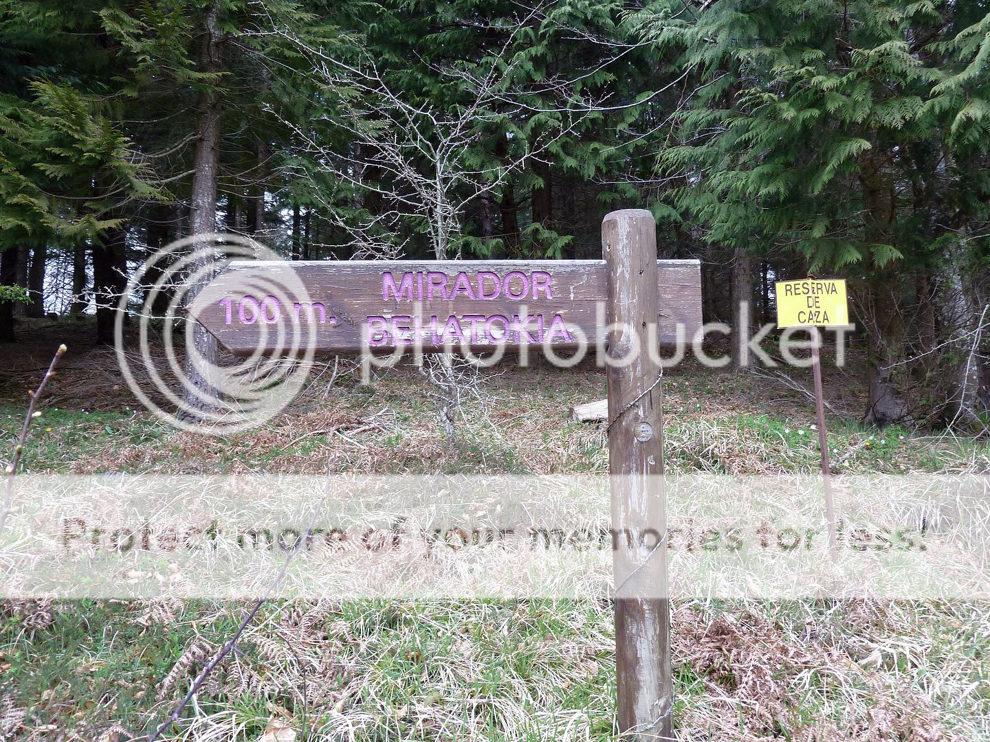 Photo Sharing and Video Hosting at Photobucket