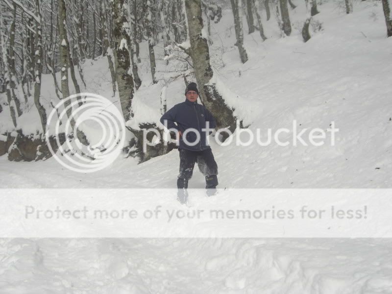 Photo Sharing and Video Hosting at Photobucket
