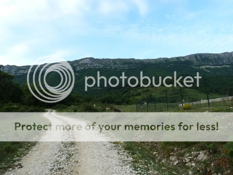 Photo Sharing and otobucVideo Hosting at Phket