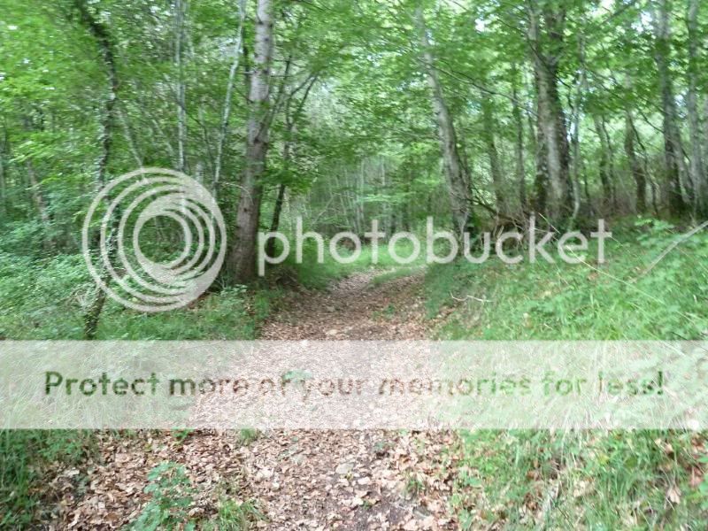 Photo Sharing and otobucVideo Hosting at Phket