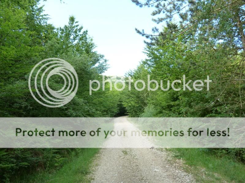 Photo Sharing and otobucVideo Hosting at Phket