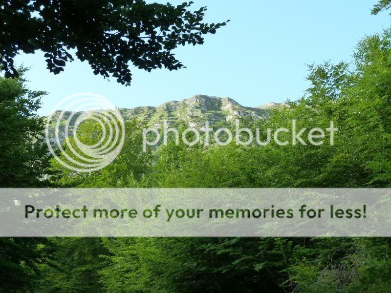 Photo Sharing and otobucVideo Hosting at Phket