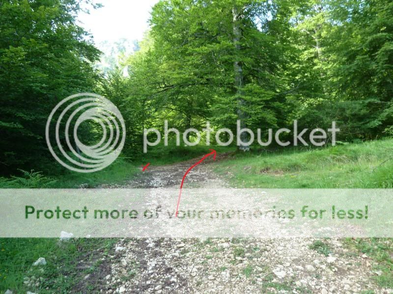 Photo Sharing and otobucVideo Hosting at Phket
