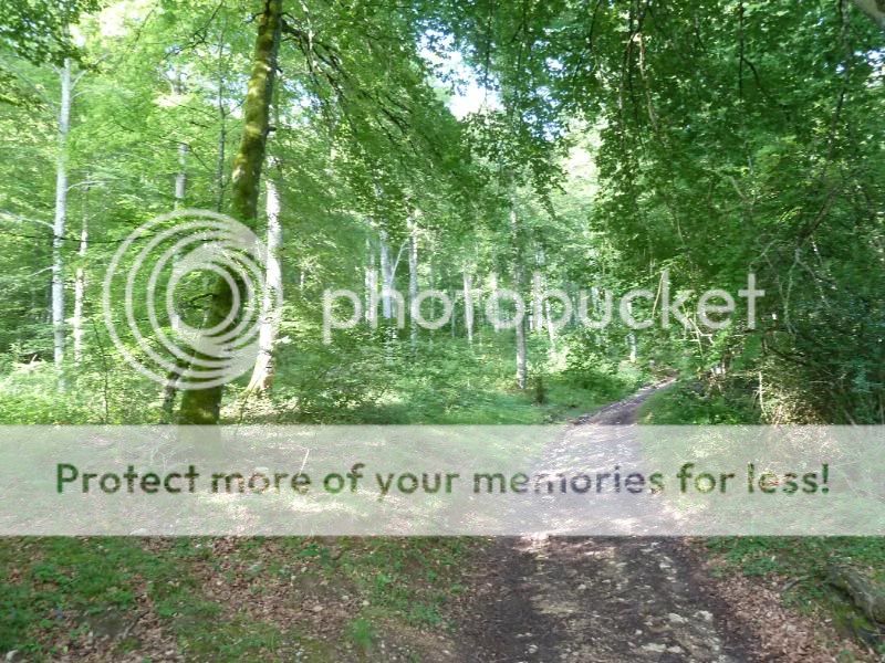 Photo Sharing and otobucVideo Hosting at Phket