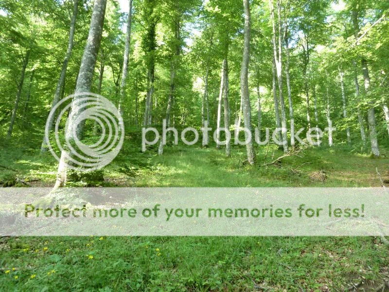 Photo Sharing and otobucVideo Hosting at Phket