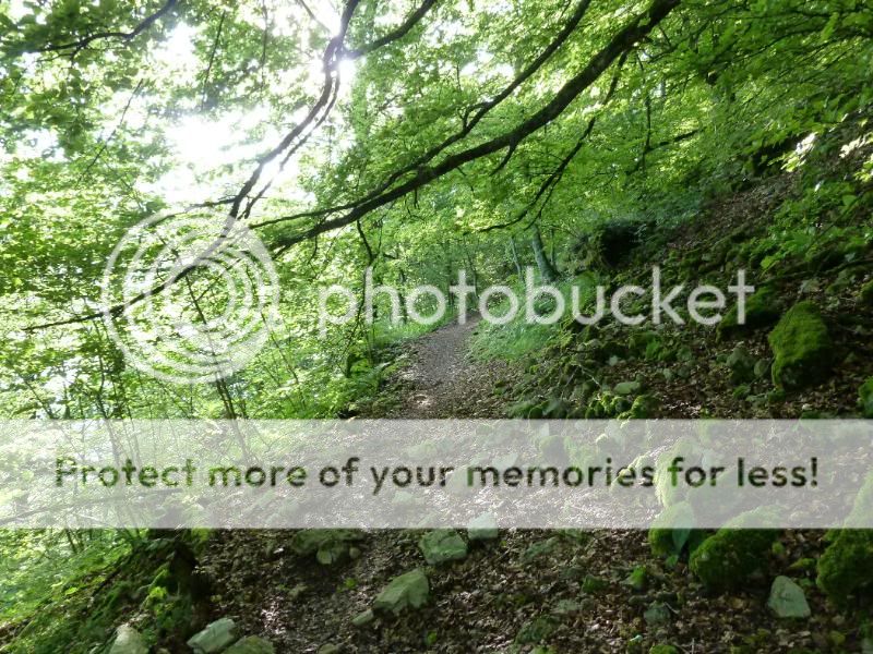 Photo Sharing and otobucVideo Hosting at Phket