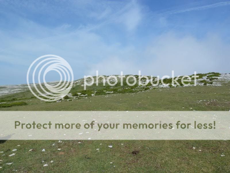 Photo Sharing and otobucVideo Hosting at Phket