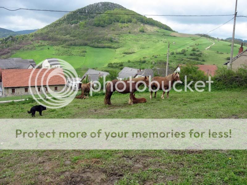 Photo Sharing and Video Hosting at Photobucket