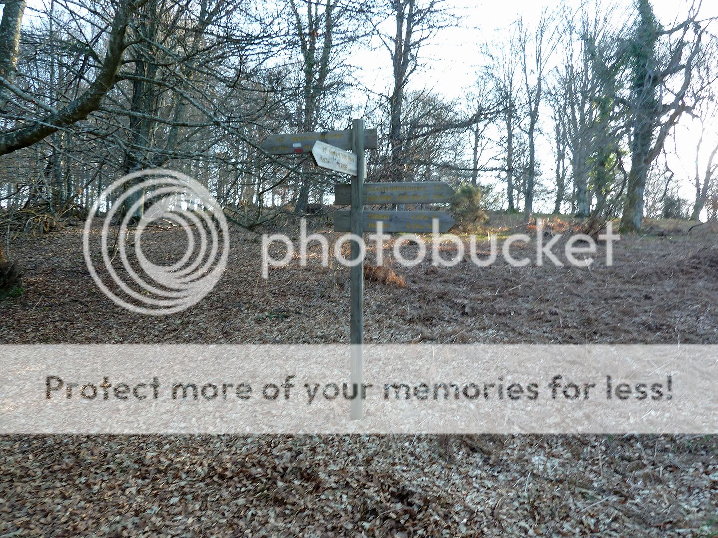 Photo Sharing and Video Hosting at Photobucket