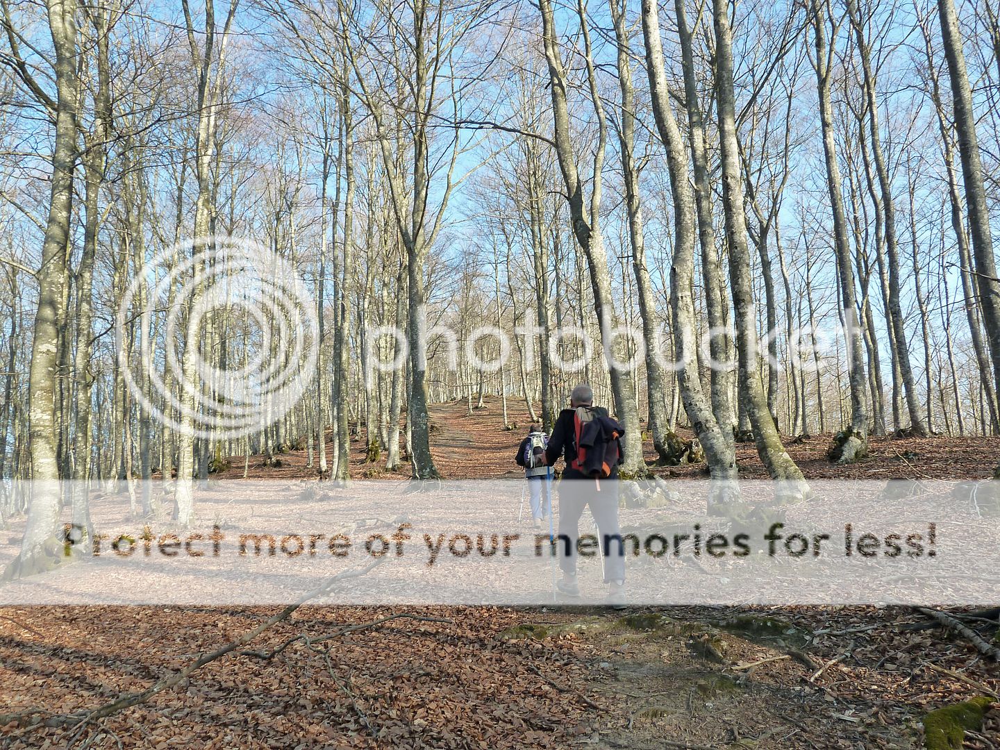 Photo Sharing and Video Hosting at Photobucket