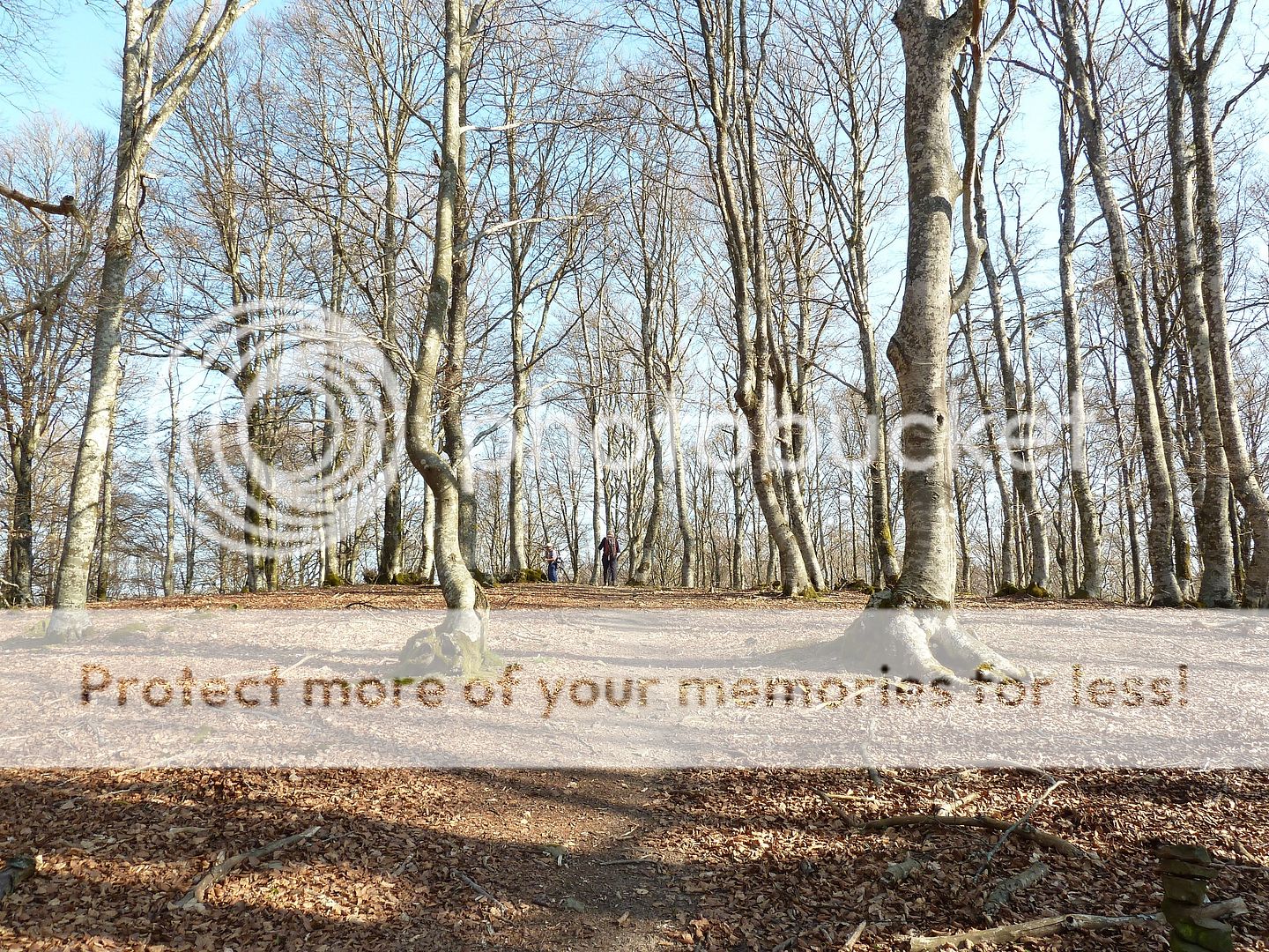Photo Sharing and Video Hosting at Photobucket