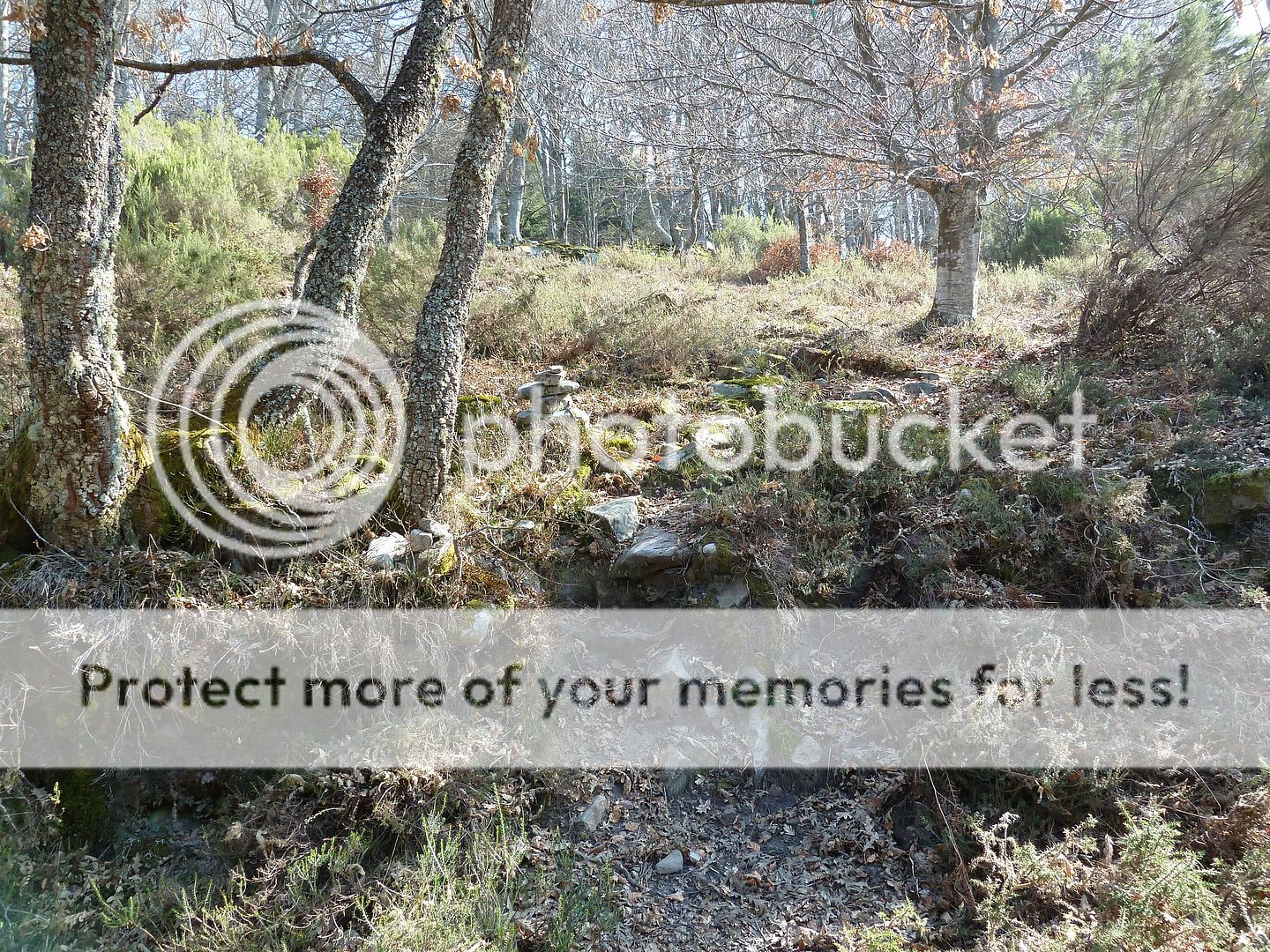 Photo Sharing and Video Hosting at Photobucket
