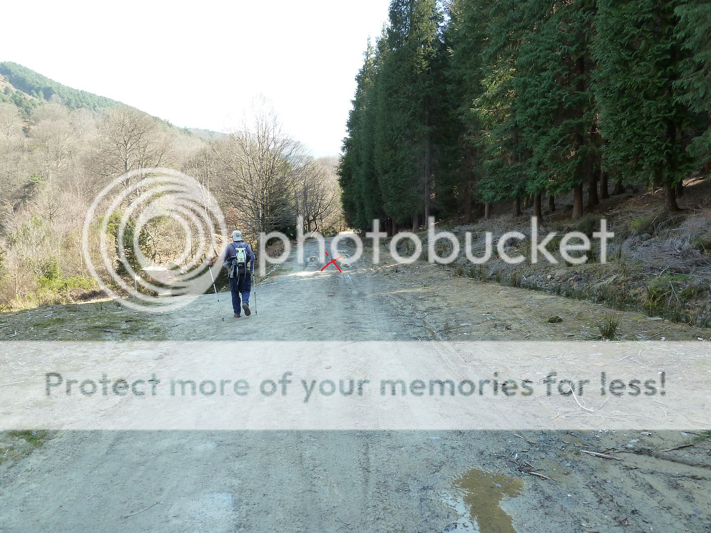 Photo Sharing and Video Hosting at Photobucket