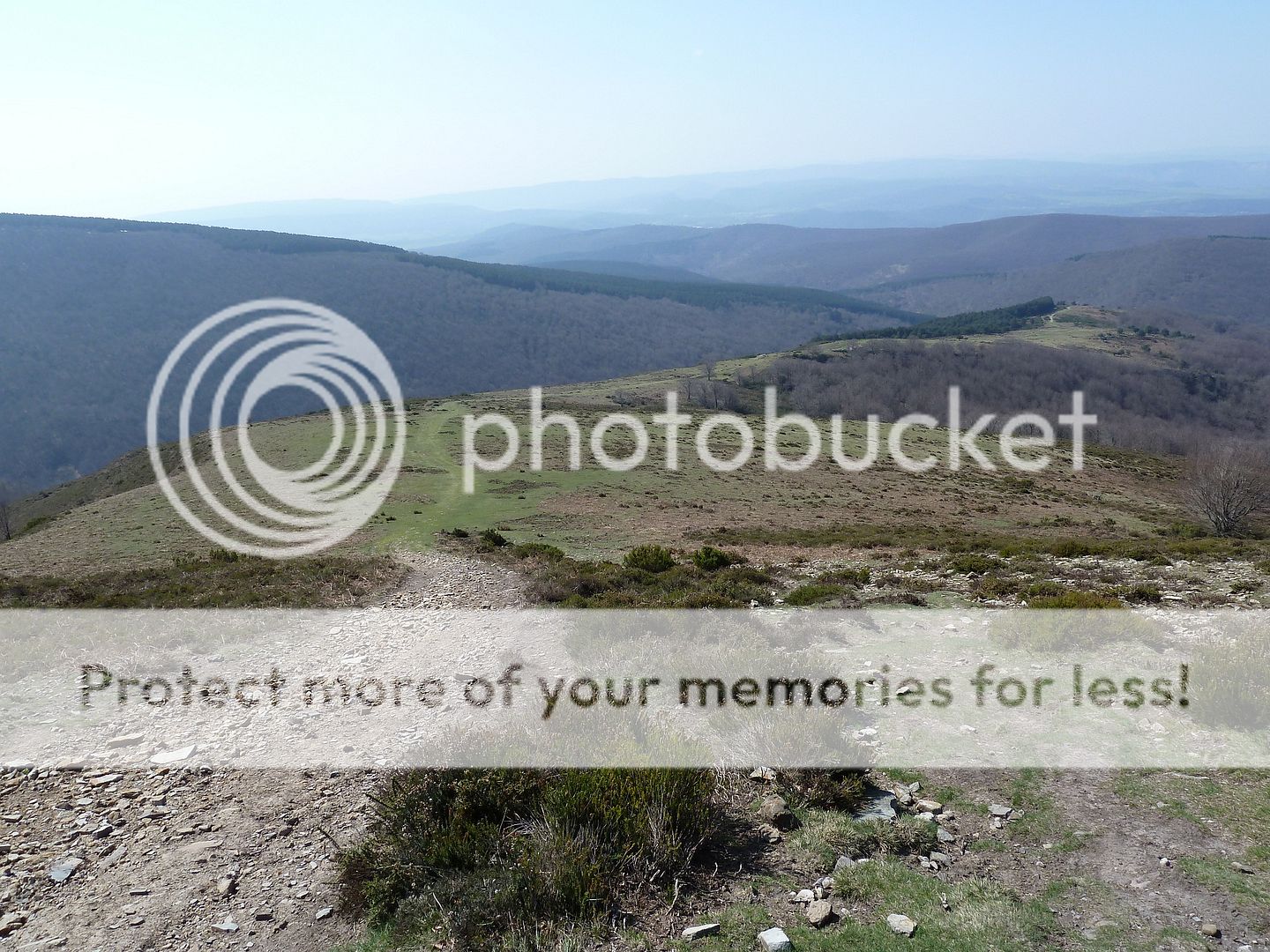 Photo Sharing and Video Hosting at Photobucket