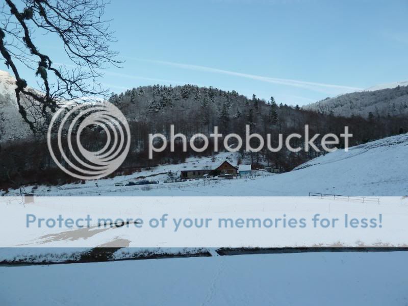 Photo Sharing and otobucVideo Hosting at Phket