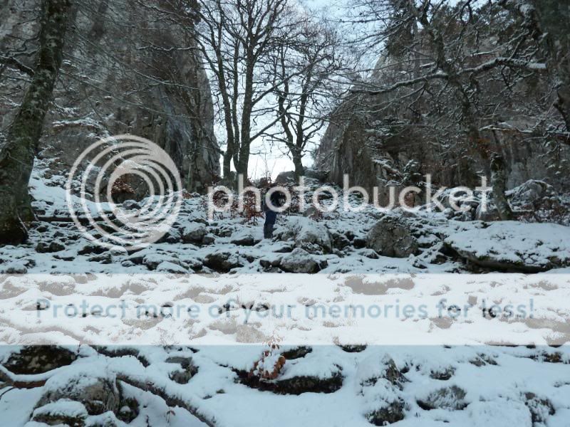 Photo Sharing and otobucVideo Hosting at Phket