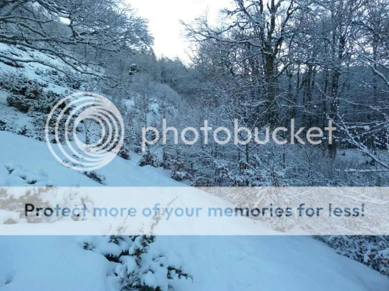 Photo Sharing and otobucVideo Hosting at Phket