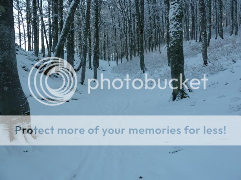Photo Sharing and otobucVideo Hosting at Phket