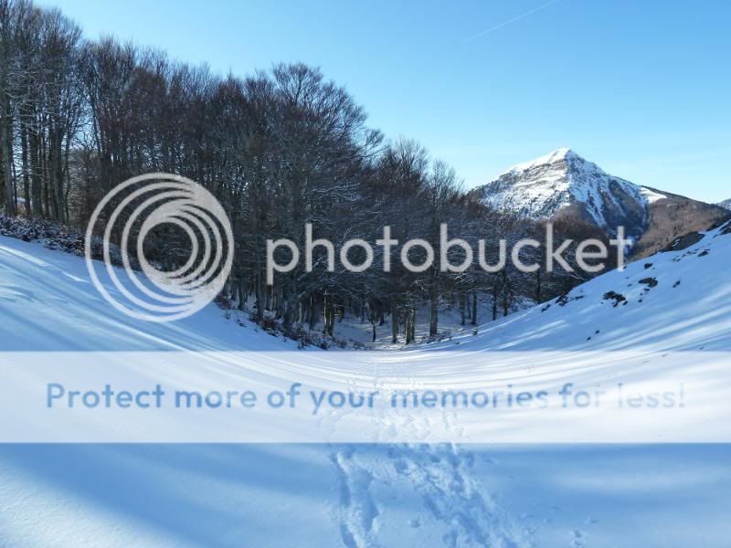 Photo Sharing and otobucVideo Hosting at Phket