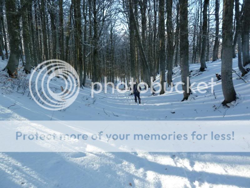 Photo Sharing and otobucVideo Hosting at Phket