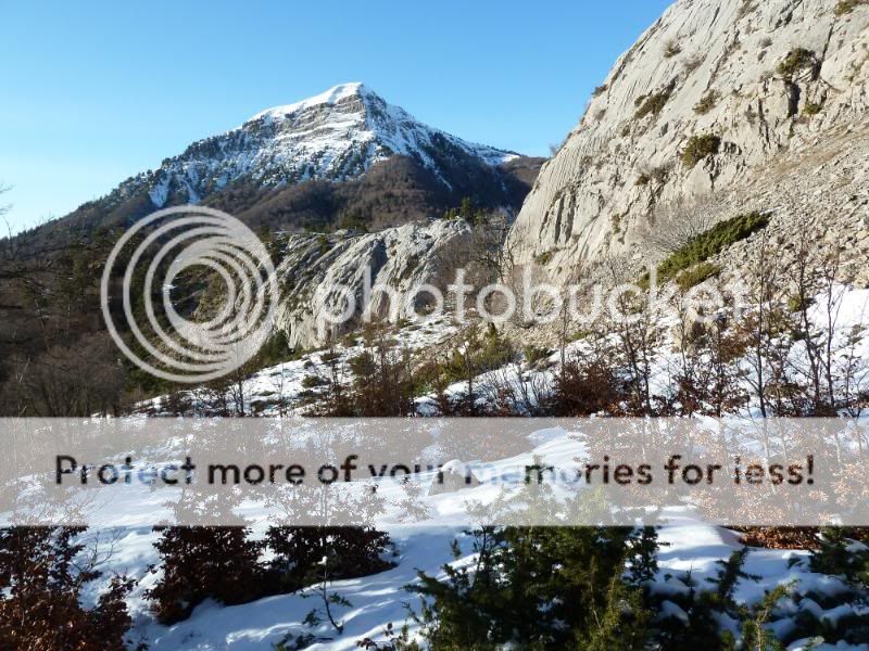Photo Sharing and otobucVideo Hosting at Phket