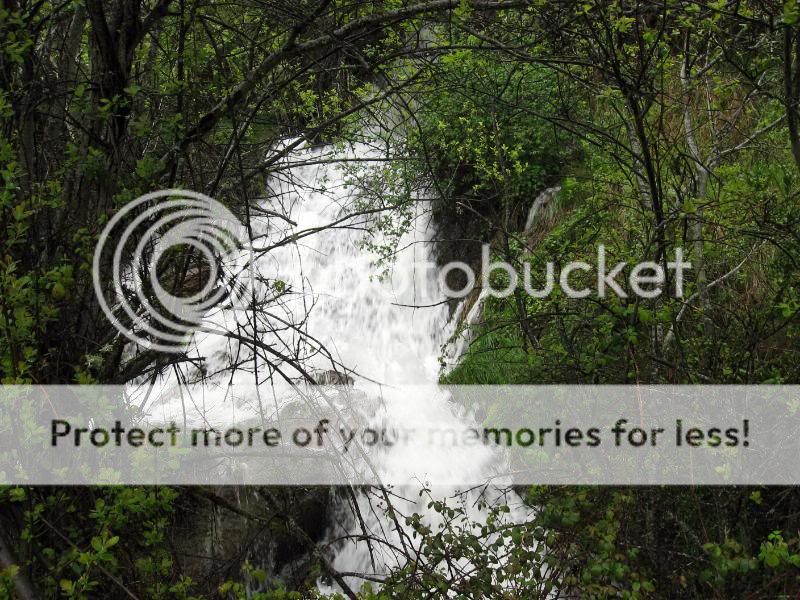 Photo Sharing and Video Hosting at Photobucket