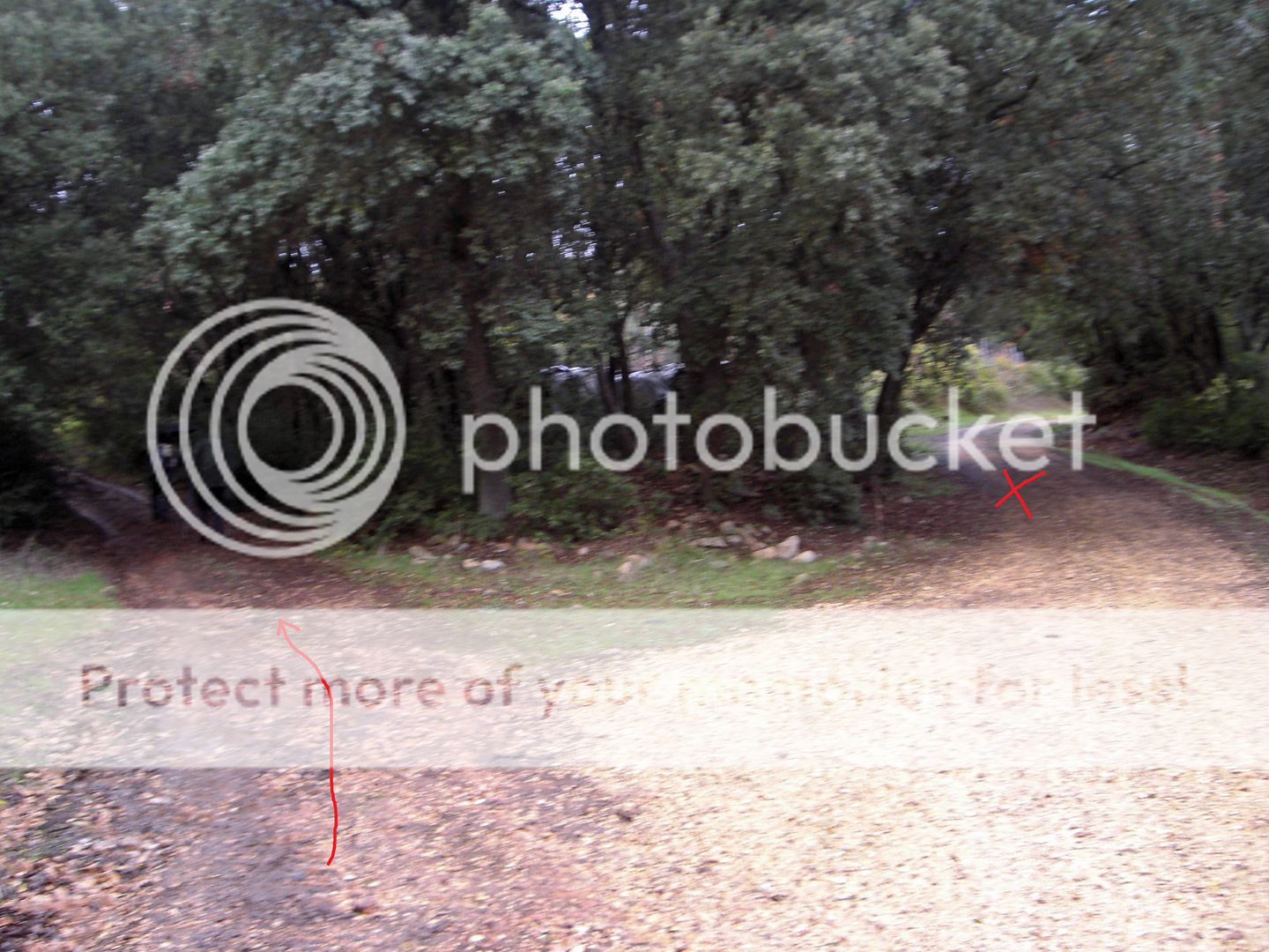 Photo Sharing and Video Hosting at Photobucket